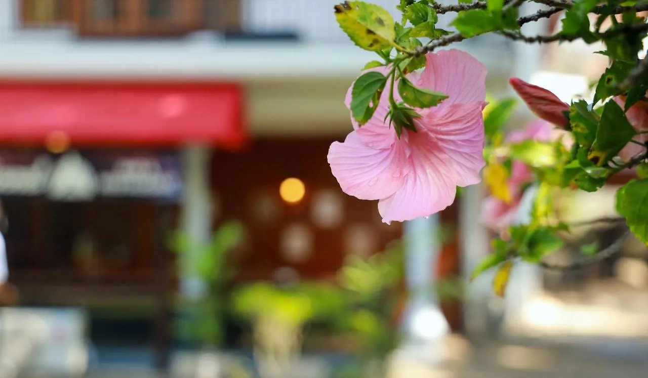 Wisdom Boutique Resort Kandy Hotel