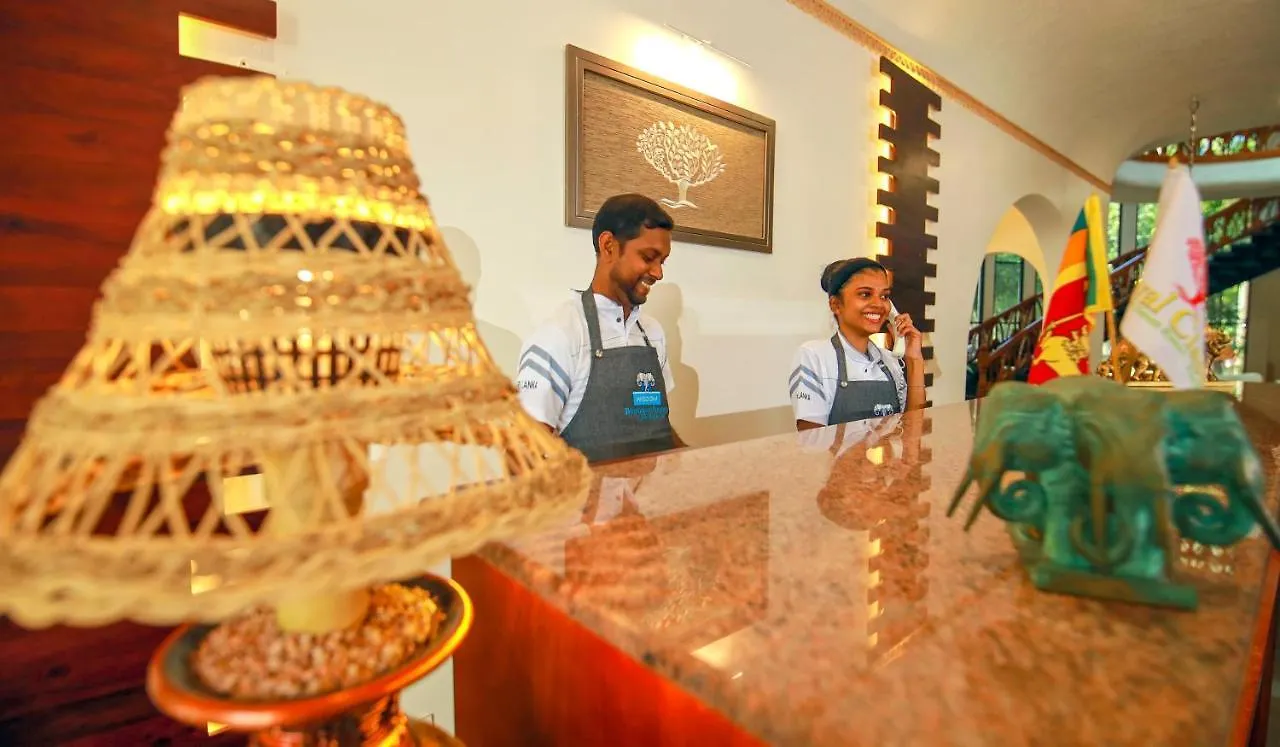 Wisdom Boutique Resort Kandy